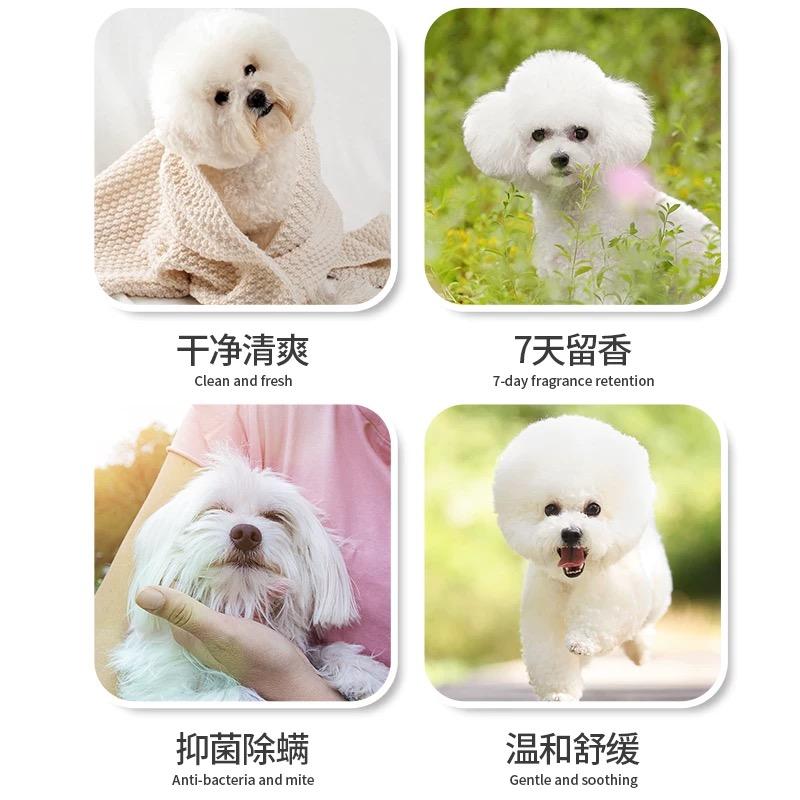 Sữa tắm Amino-duoc-ban-tai-CHÚ MÈO BÉO PETSTORE