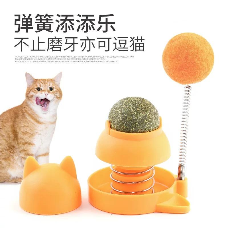 Bóng cỏ mèo dán tường-duoc-ban-tai-CHÚ MÈO BÉO PETSTORE
