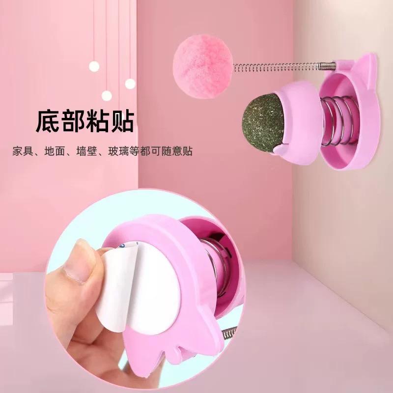 Bóng cỏ mèo dán tường-duoc-ban-tai-CHÚ MÈO BÉO PETSTORE