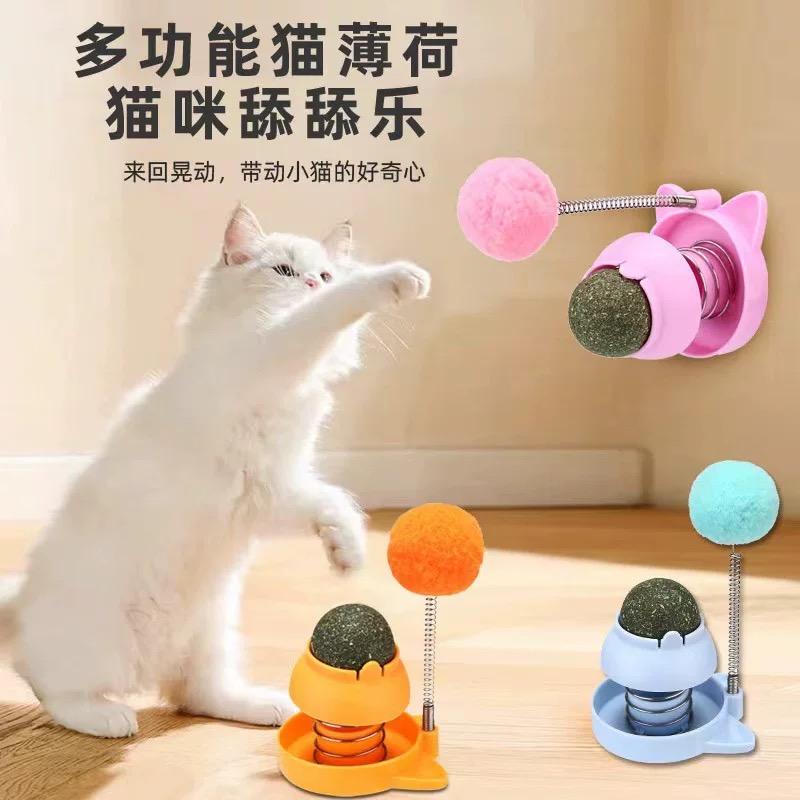 Bóng cỏ mèo dán tường-duoc-ban-tai-CHÚ MÈO BÉO PETSTORE