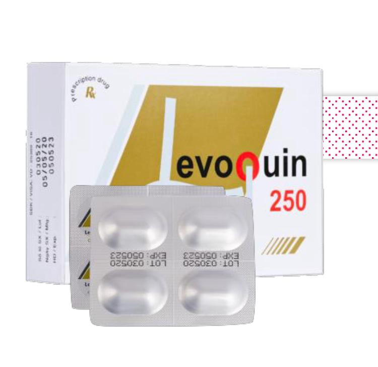 Levo Quin 250mg(3x4)-duoc-ban-tai-Đỗ Mạnh Hưng