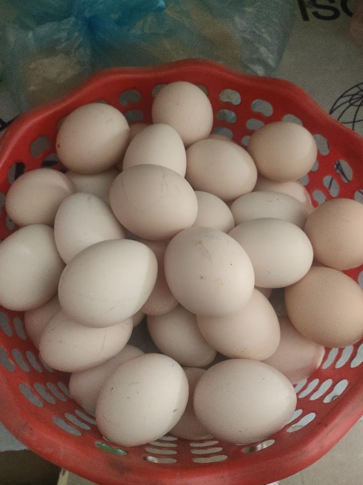 Trứng gà-duoc-ban-tai-Hưởng Thúy
