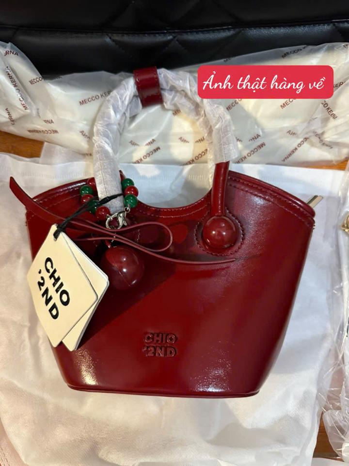 Túi CD giỏ đỏ đã cọc 100-duoc-ban-tai-Tiger Shop