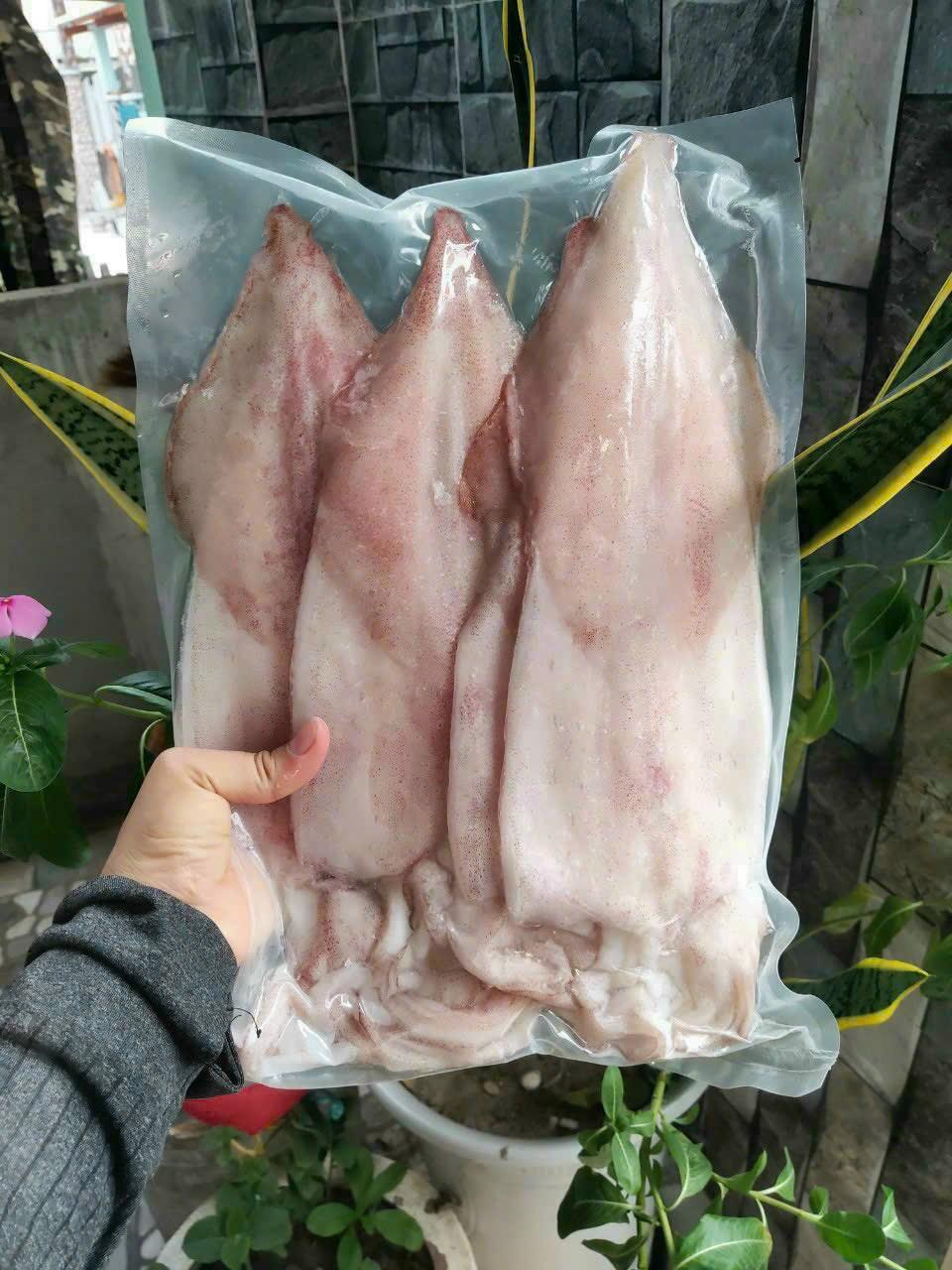 Mực một nắng 2-3-duoc-ban-tai-Seagi foods