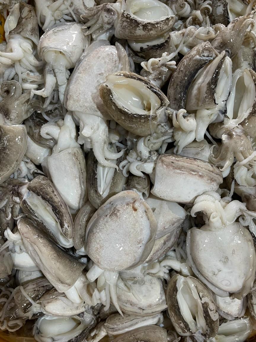 Mực Nang 10-15 làm sạch-duoc-ban-tai-Seagi foods