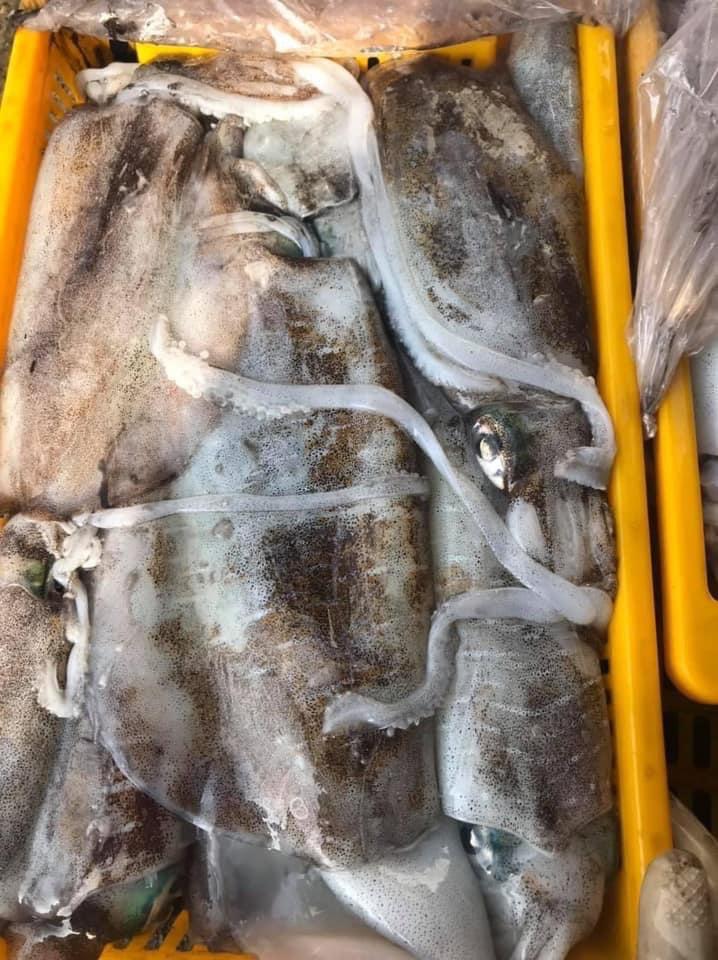 Mực Lá VIP-duoc-ban-tai-Seagi foods