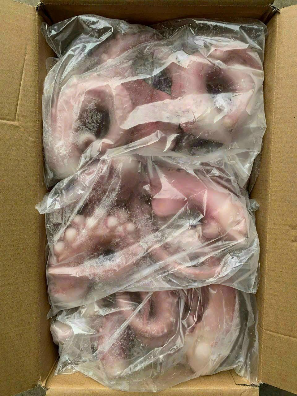 Râu Tuộc khổng lồ-duoc-ban-tai-Seagi foods