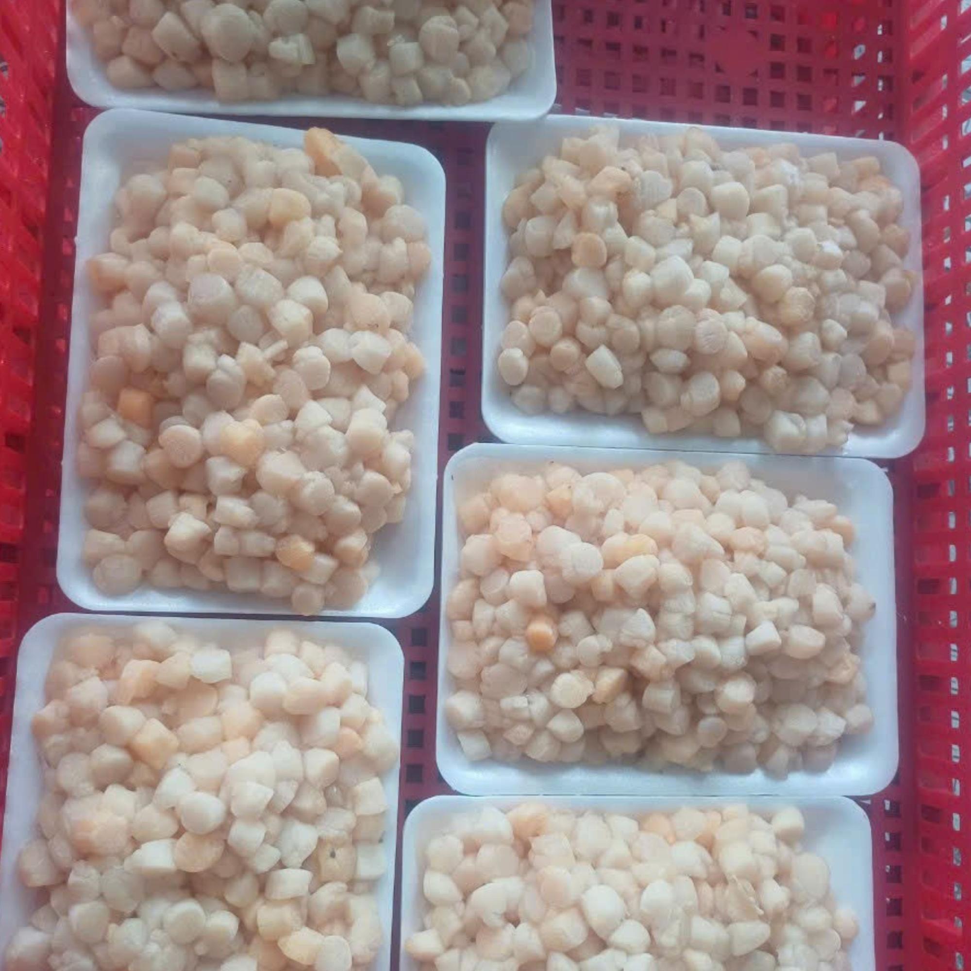 Cồi Sò Điệp có trứng-duoc-ban-tai-Seagi foods