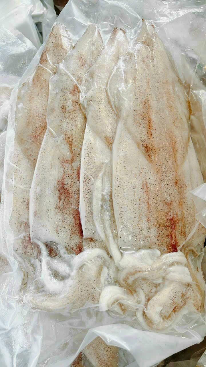 Mực một nắng 2-3-duoc-ban-tai-Seagi foods