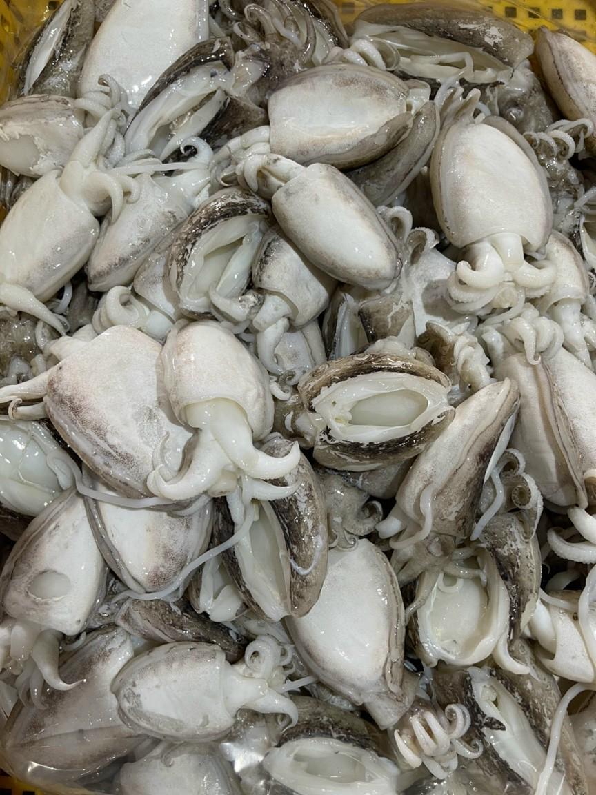 Mực Nang 10-15 làm sạch-duoc-ban-tai-Seagi foods