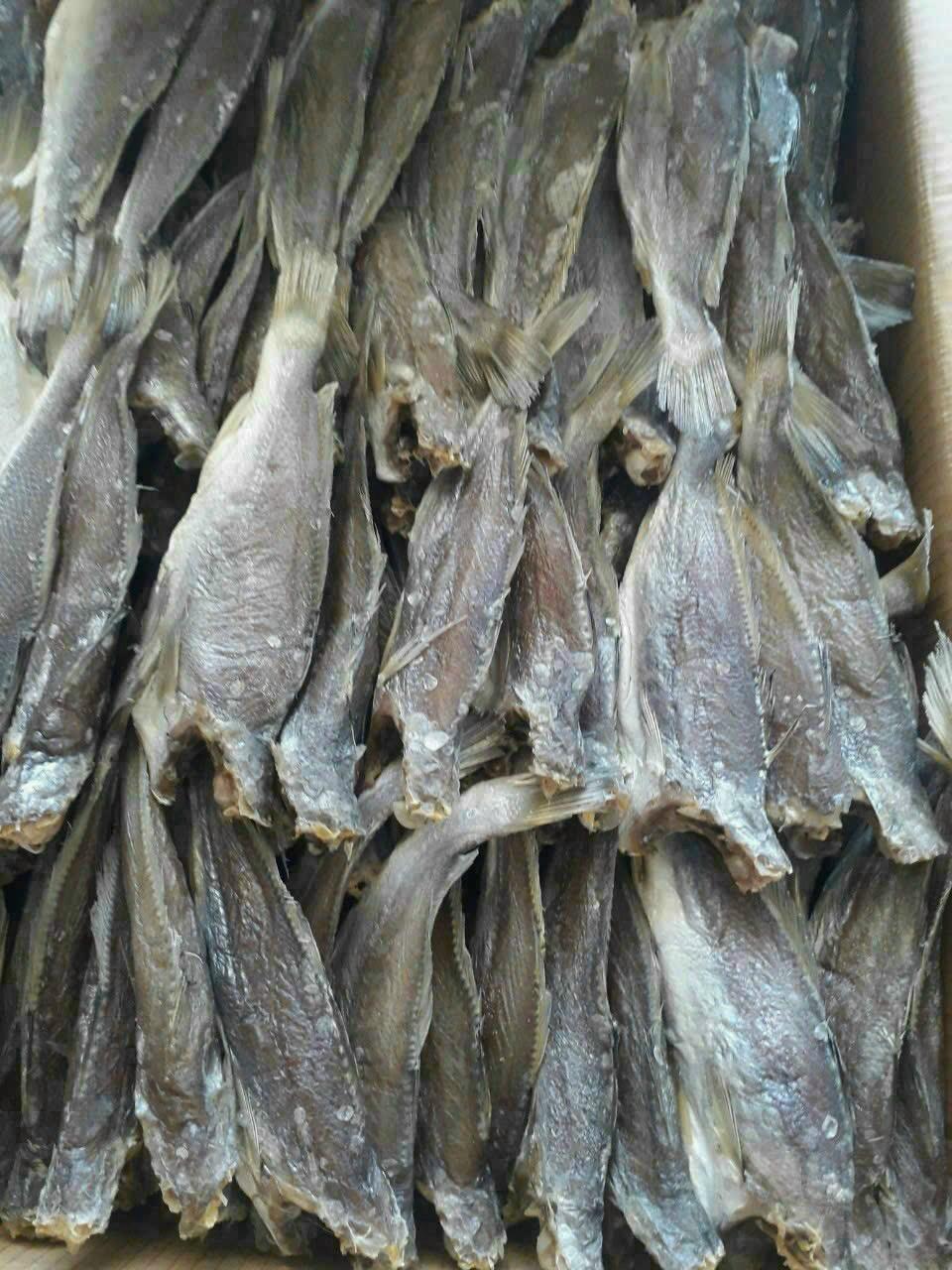 Khô cá Đù mặn-duoc-ban-tai-Seagi foods