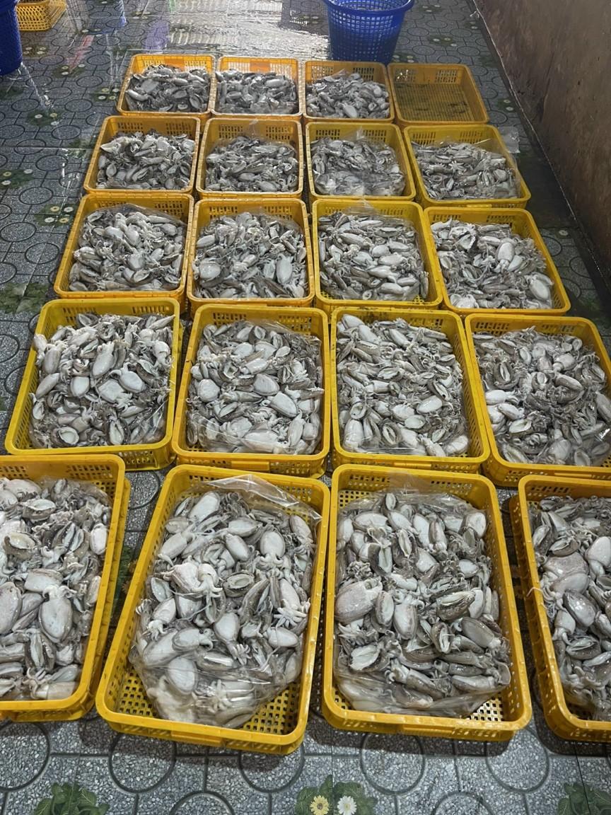 Mực Nang 10-15 làm sạch-duoc-ban-tai-Seagi foods