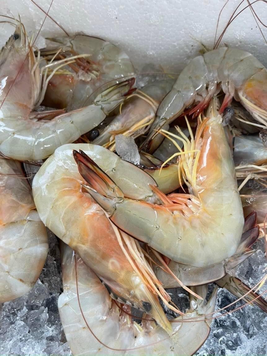 Tôm Thẻ biển tươi-duoc-ban-tai-Seagi foods