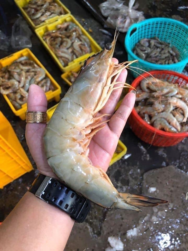 Tôm Thẻ biển tươi-duoc-ban-tai-Seagi foods