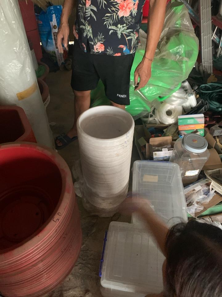 Chậu hoa trắng -duoc-ban-tai-Cô nở