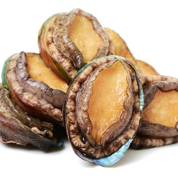 Bào ngư-duoc-ban-tai-SÚP BÀO NGƯ VI CÁ