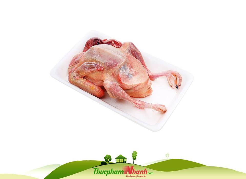Chim câu rời ( 1 con )-duoc-ban-tai-SÚP BÀO NGƯ VI CÁ