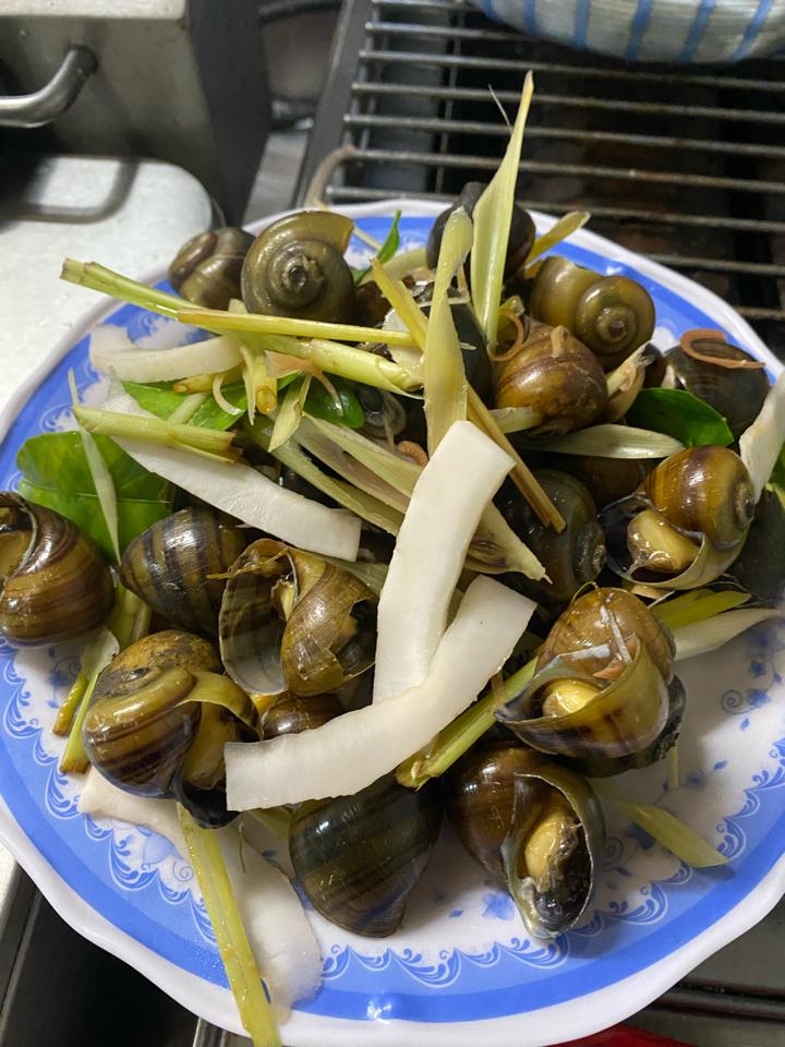 ôc mít đồng luộc-duoc-ban-tai-Ốc nàng dâu