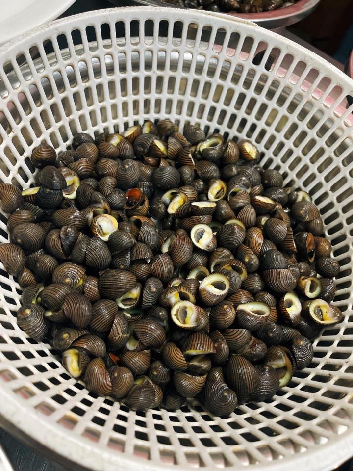 ốc đĩa-duoc-ban-tai-Ốc nàng dâu