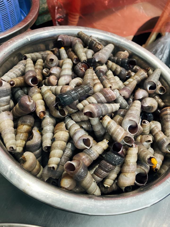 ốc điếu-duoc-ban-tai-Ốc nàng dâu