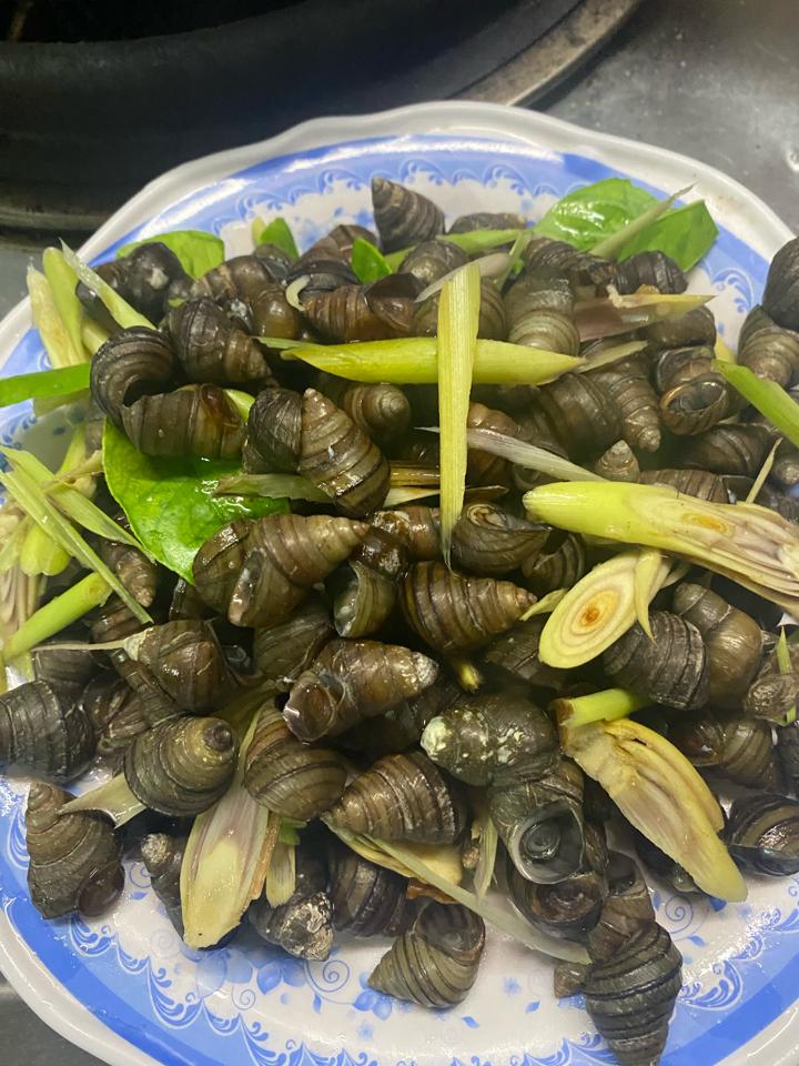 Ốc dạ luộc-duoc-ban-tai-Ốc nàng dâu