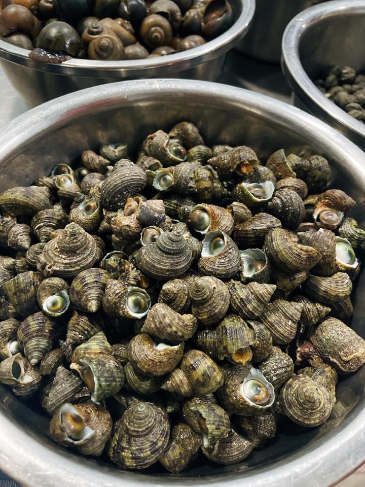 ốc trố-duoc-ban-tai-Ốc nàng dâu