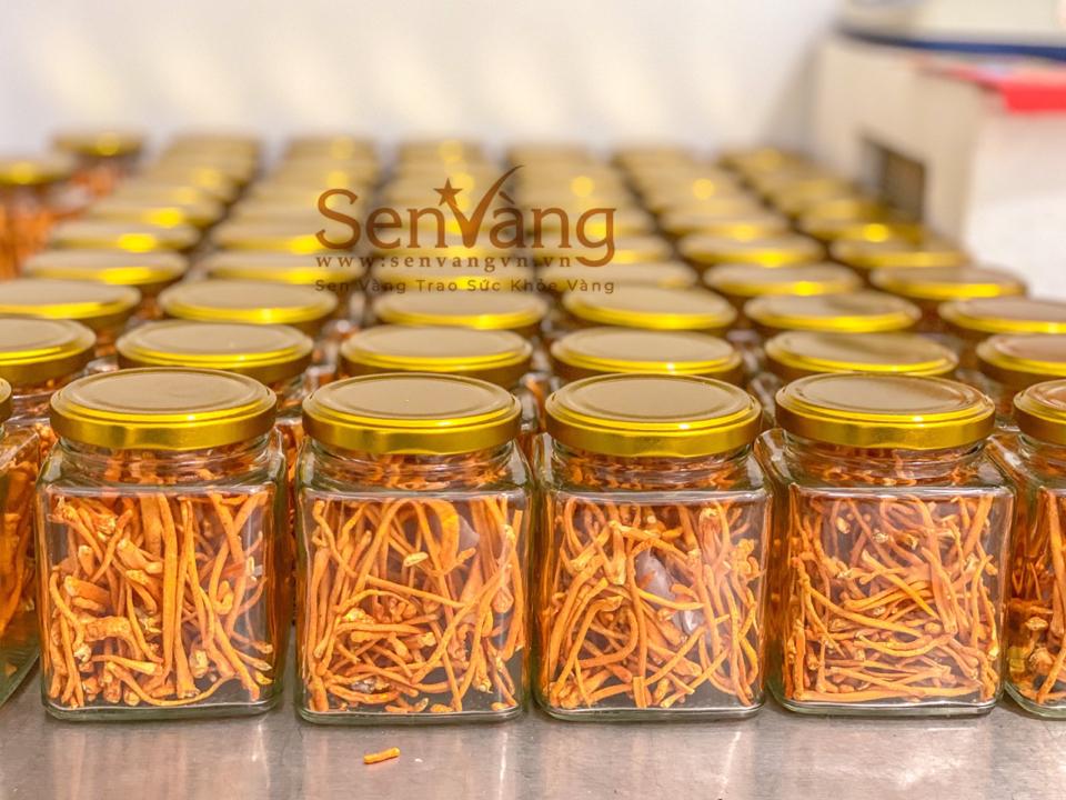 Đông Trùng Hạ Thảo Sen Vàng-duoc-ban-tai-Yến Sào Thanh Hải