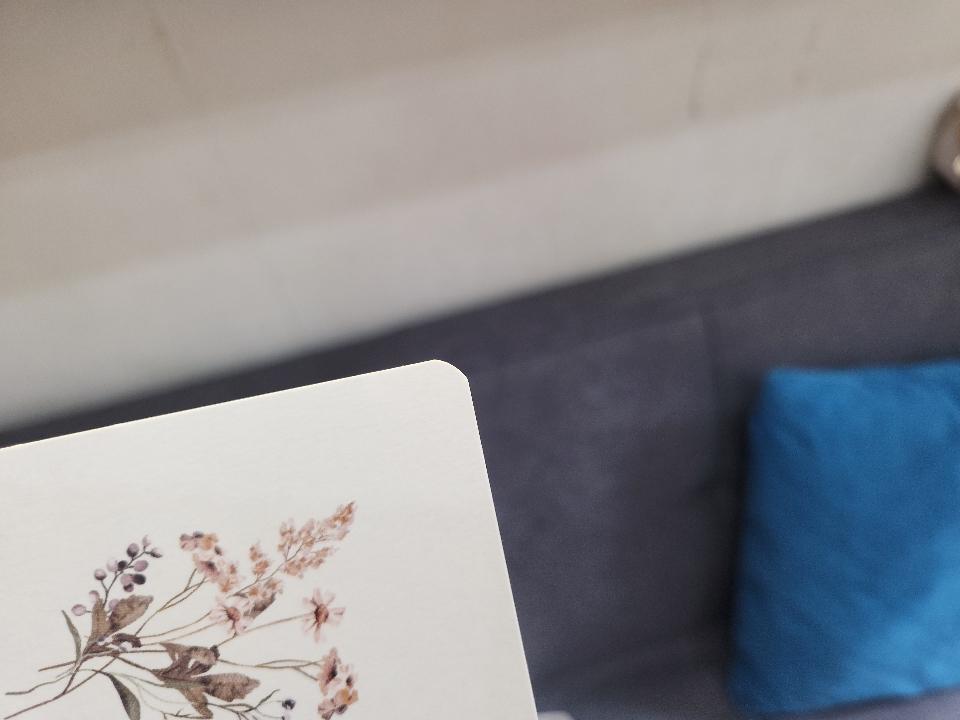 Tùy chọn Bo góc dưới 500th-duoc-ban-tai-Thiệp Cưới Mint