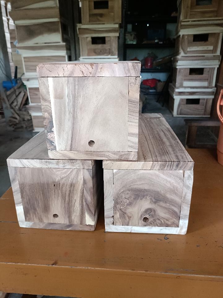 Thùng ong dú gỗ me tây 17*17*40*2-duoc-ban-tai-VẬT TƯ NUÔI ONG VỮNG TOÀN