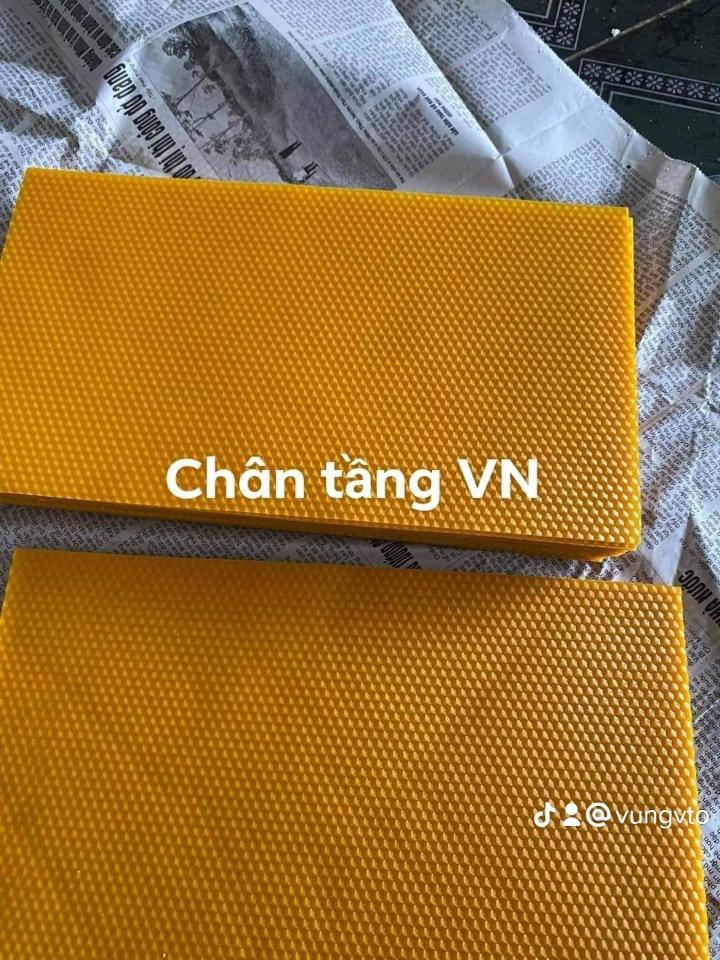 Chân tầng ong nội cty ong Xanh -duoc-ban-tai-VẬT TƯ NUÔI ONG VỮNG TOÀN