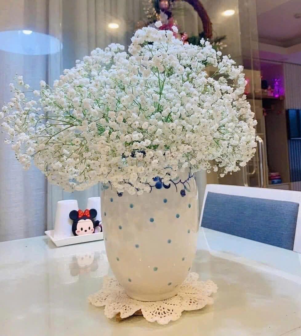 Bi trắng-duoc-ban-tai-Tiệm hoa nhà tình