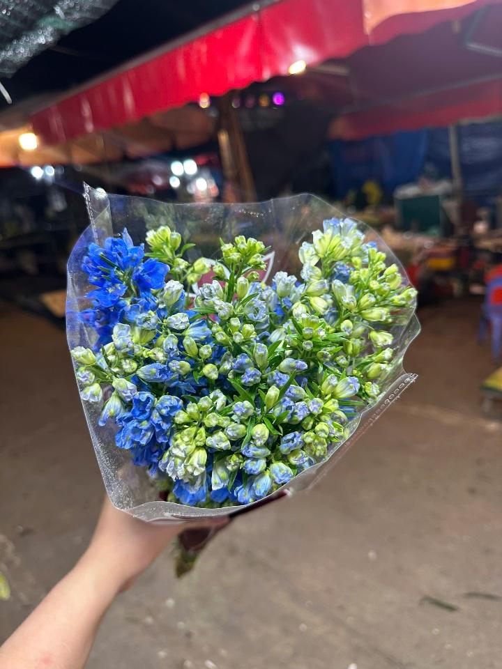 Hoa Tiểu Delphin-duoc-ban-tai-Tiệm hoa nhà tình