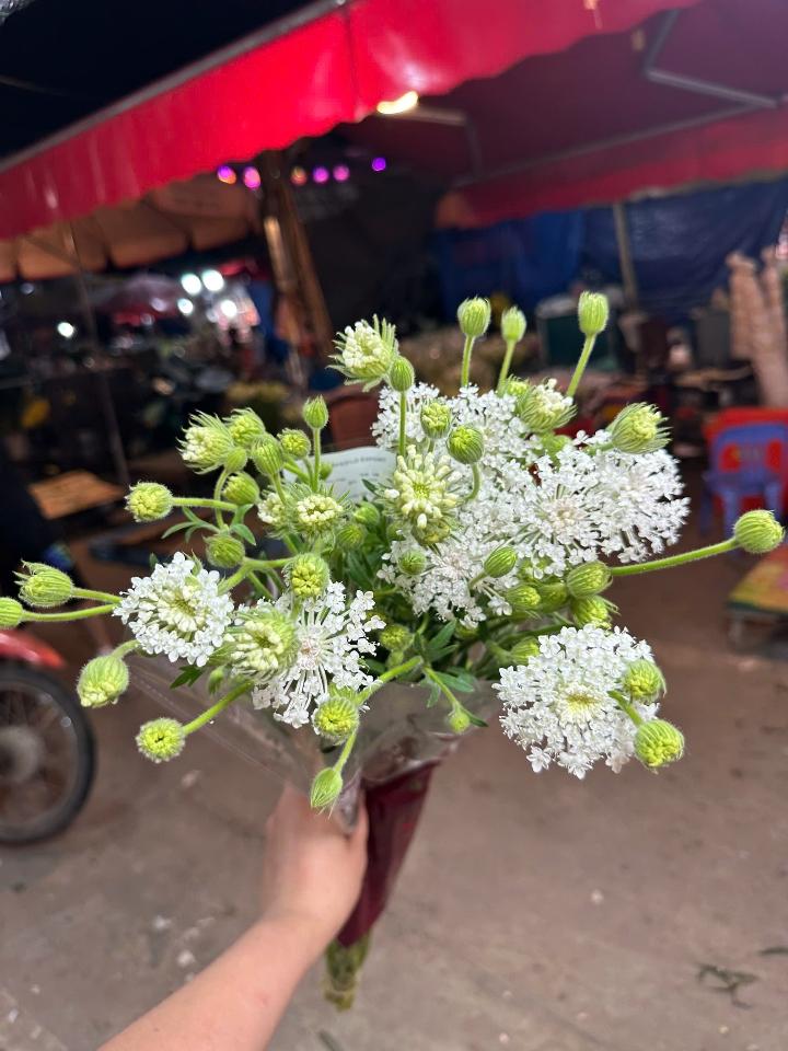 Hoa Thúy Châu-duoc-ban-tai-Tiệm hoa nhà tình