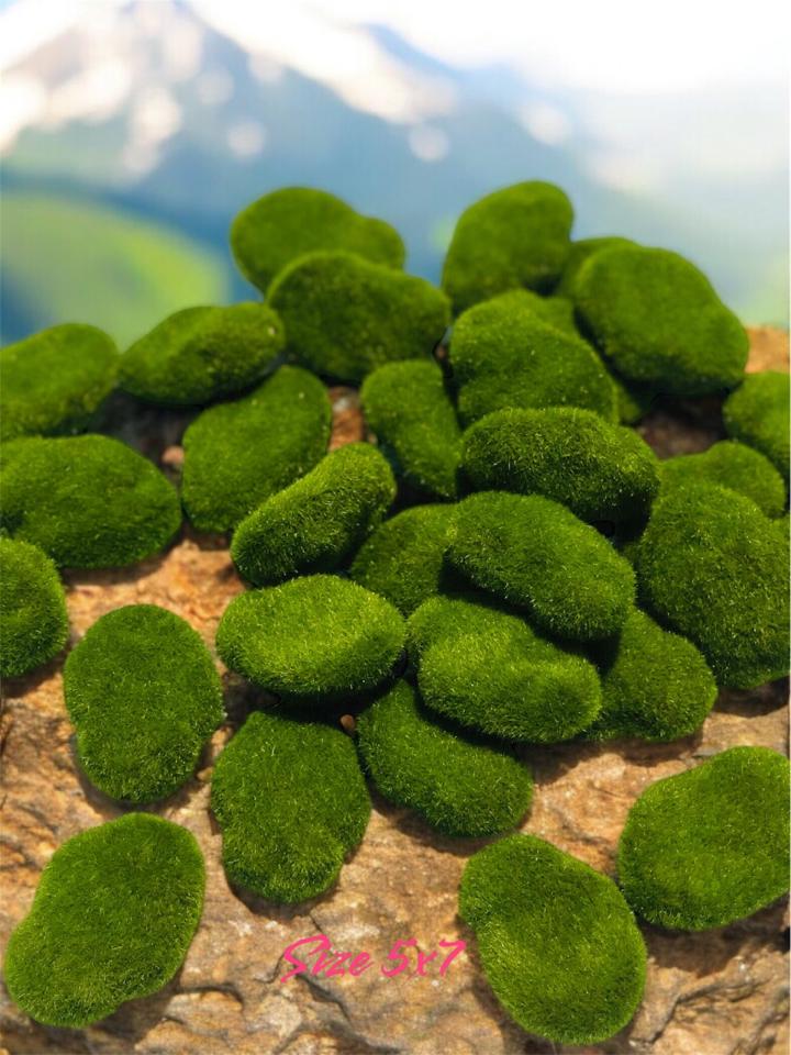 Đá rêu giả ( 5x7cm)-duoc-ban-tai-Thanh Lee Nguyễn( phụ kiện tiểu cảnh).