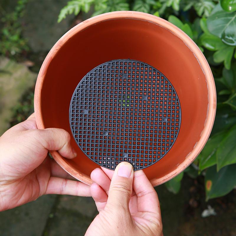 Miếng lót  đáy chậu cây -duoc-ban-tai-Thanh Lee Nguyễn( phụ kiện tiểu cảnh).