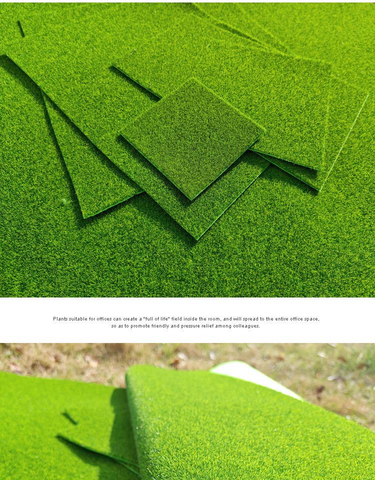 Thảm cỏ size 15x15cm-duoc-ban-tai-Thanh Lee Nguyễn( phụ kiện tiểu cảnh).