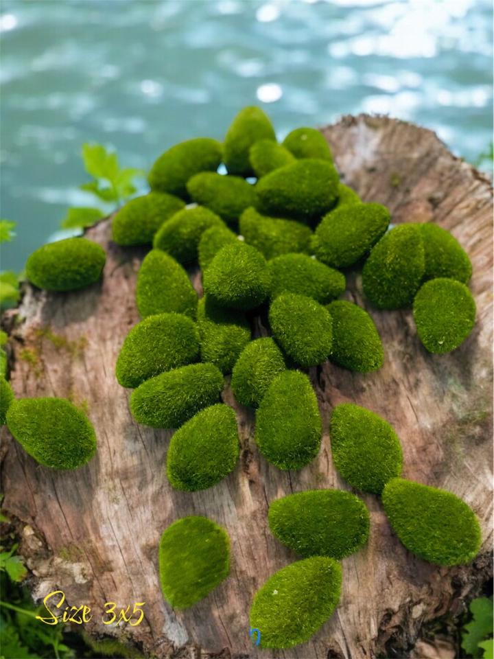 Đá rêu giả ( dạng xốp 3x5cm) 🍀-duoc-ban-tai-Thanh Lee Nguyễn( phụ kiện tiểu cảnh).