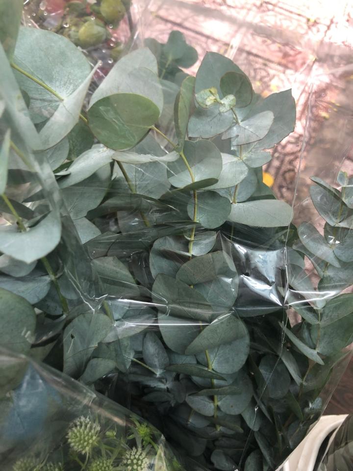 Dola-duoc-ban-tai-Tiệm hoa nhà tình