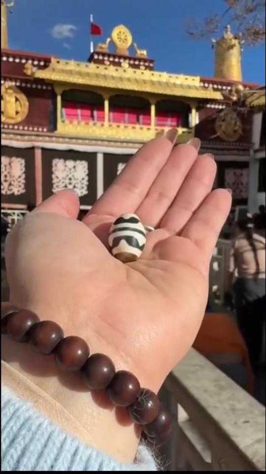 Nanh hổ kép Tibet ( Tập Duyên) -duoc-ban-tai-Dzi Trâm Lê