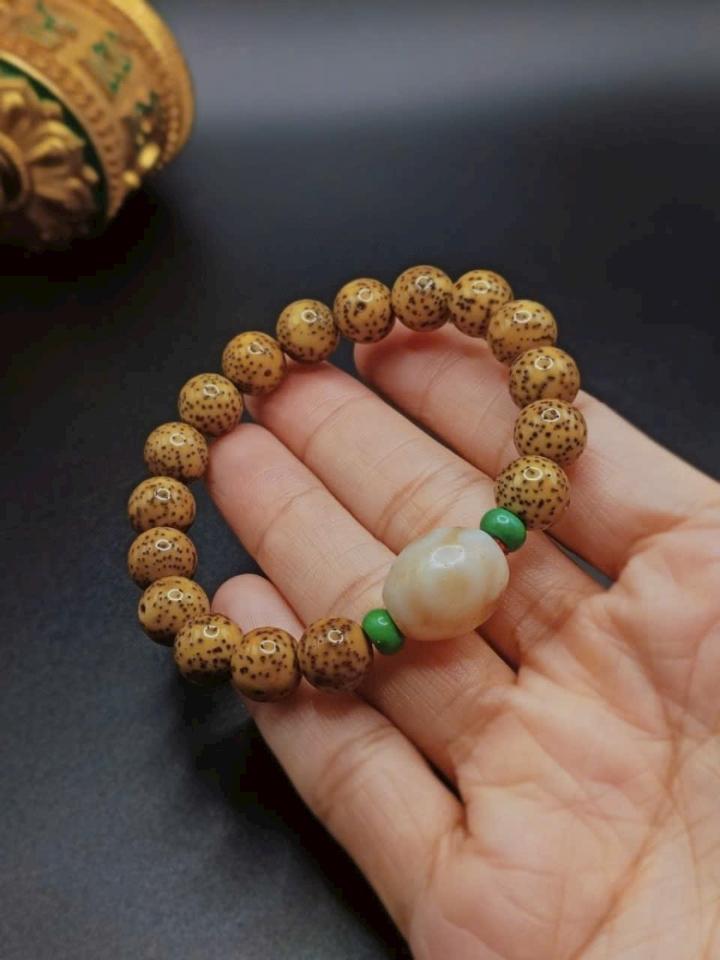 Dzi lão niên 1-duoc-ban-tai-Dzi Trâm Lê