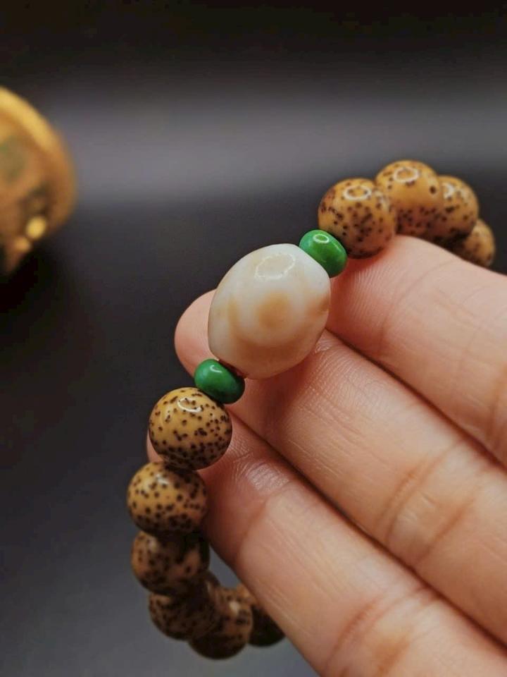 Dzi lão niên 1-duoc-ban-tai-Dzi Trâm Lê