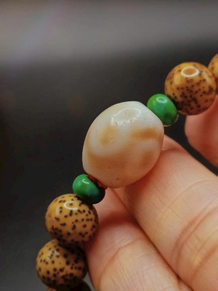 Dzi lão niên 1-duoc-ban-tai-Dzi Trâm Lê