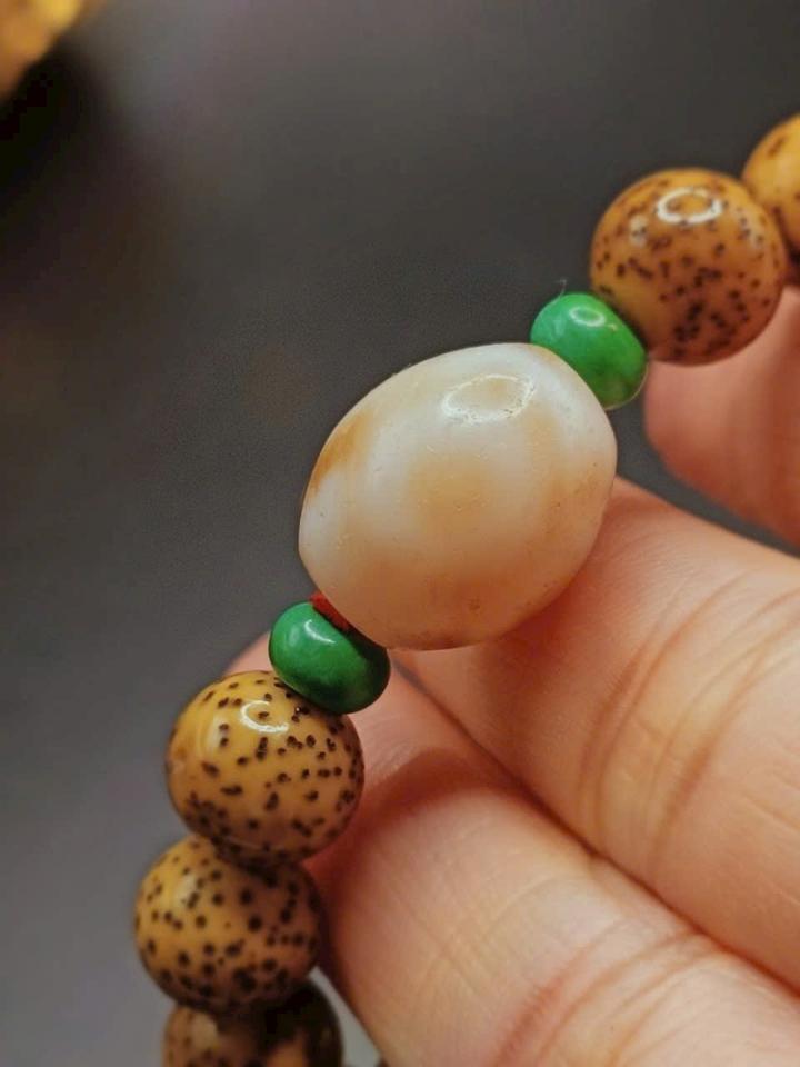 Dzi lão niên 1-duoc-ban-tai-Dzi Trâm Lê