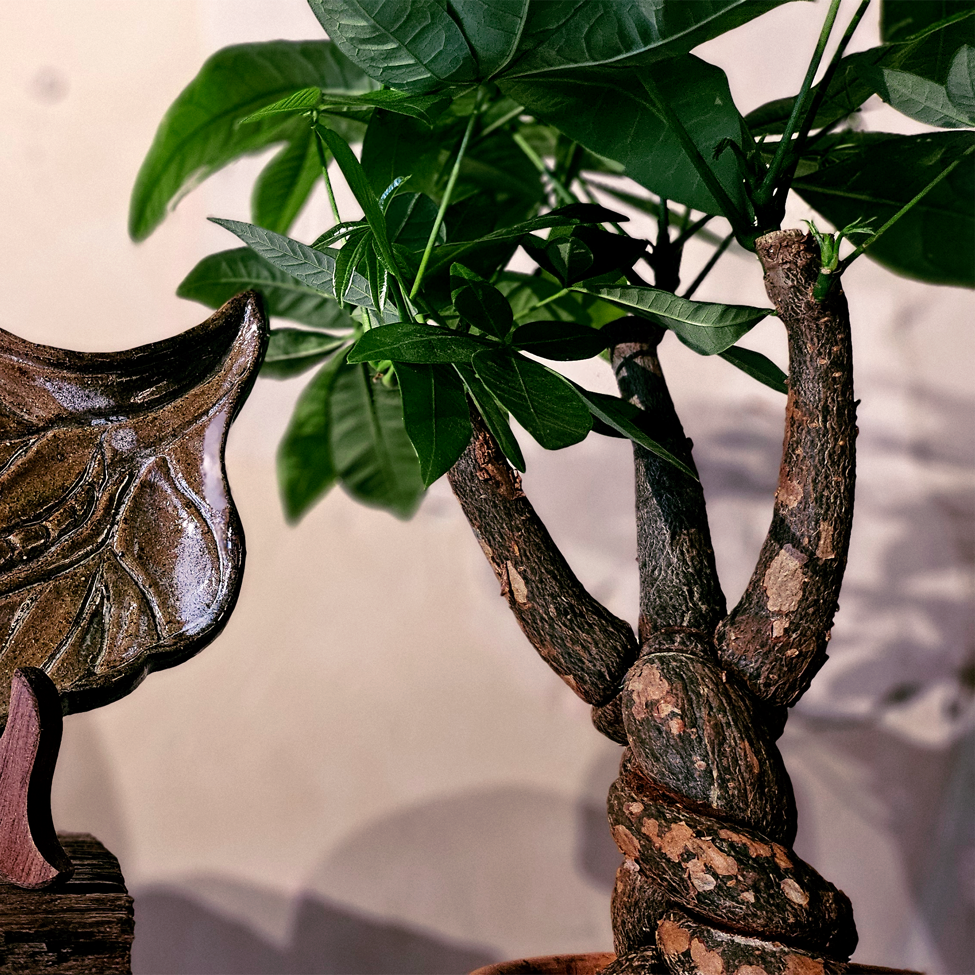 Đĩa lá chuồn chuồn -duoc-ban-tai-Komorebi Pottery