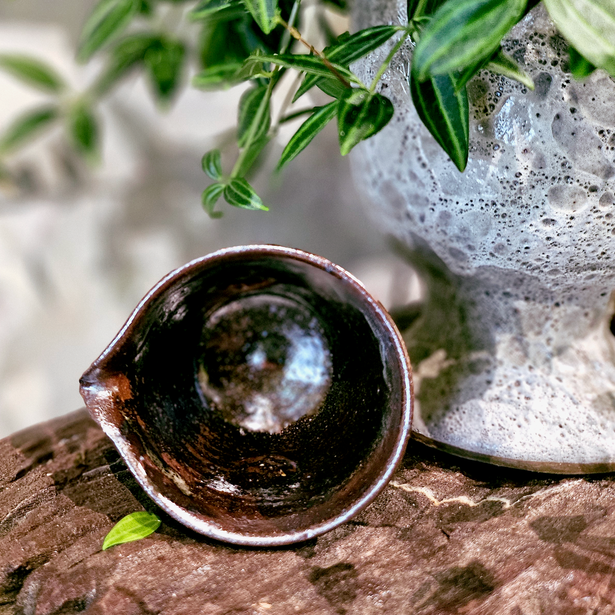Chén Tống nụ cúc và chim-duoc-ban-tai-Komorebi Pottery