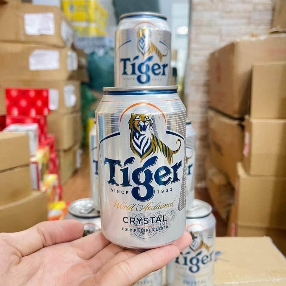 Tiger bạc lùn-duoc-ban-tai-Thảo Nhi Food Garden