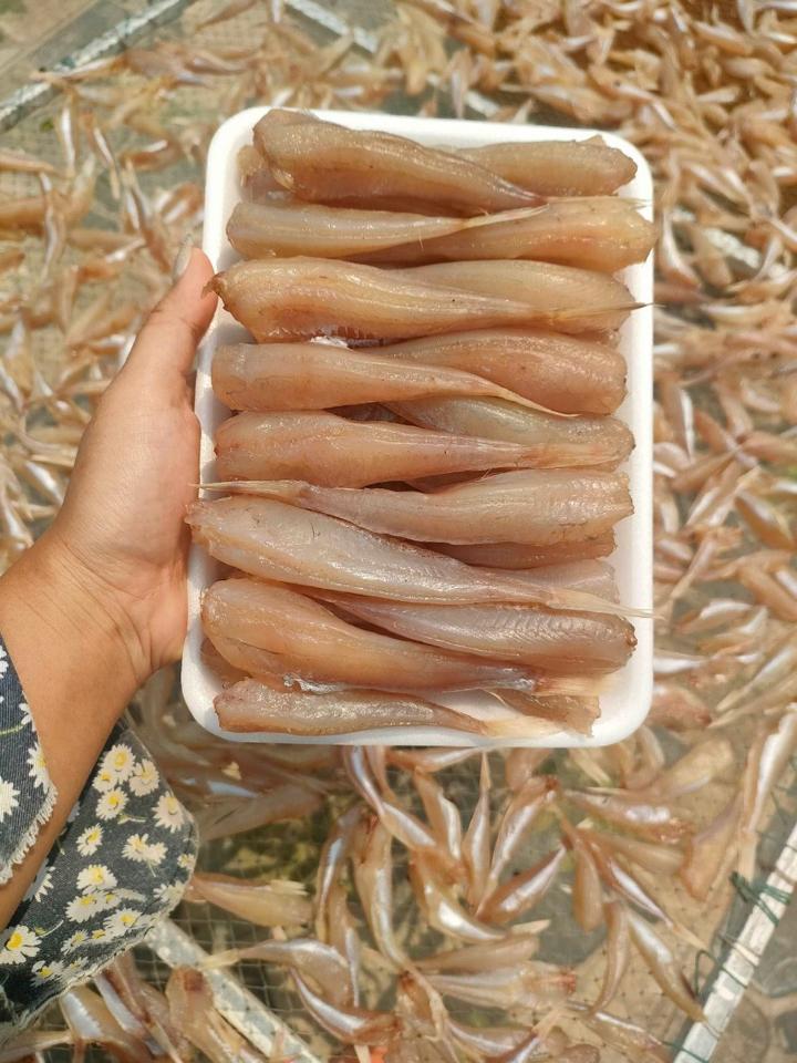 Cá đùi gà 1 nắng-duoc-ban-tai-HẢI SẢN CẨM