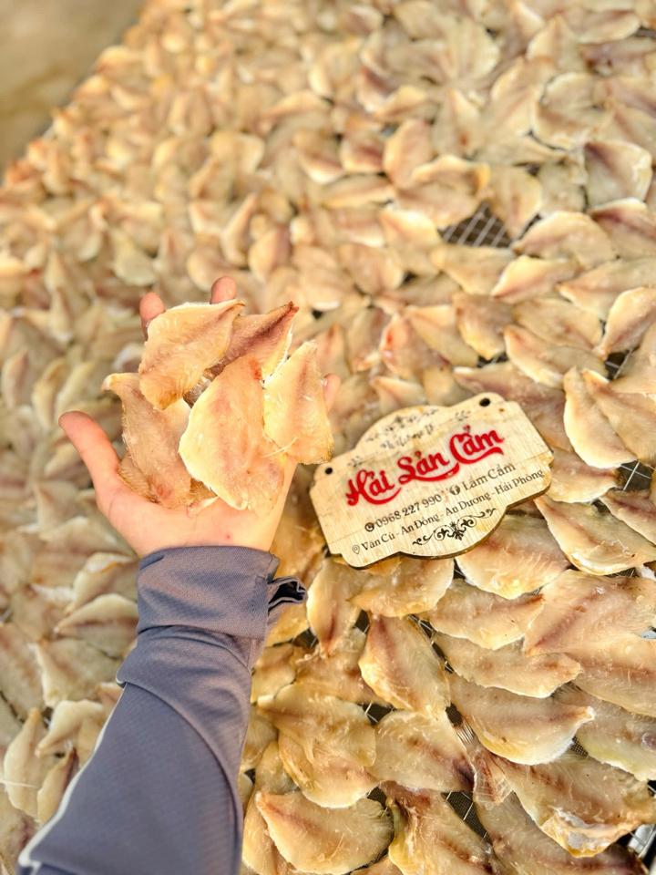 cá man phile-duoc-ban-tai-HẢI SẢN CẨM