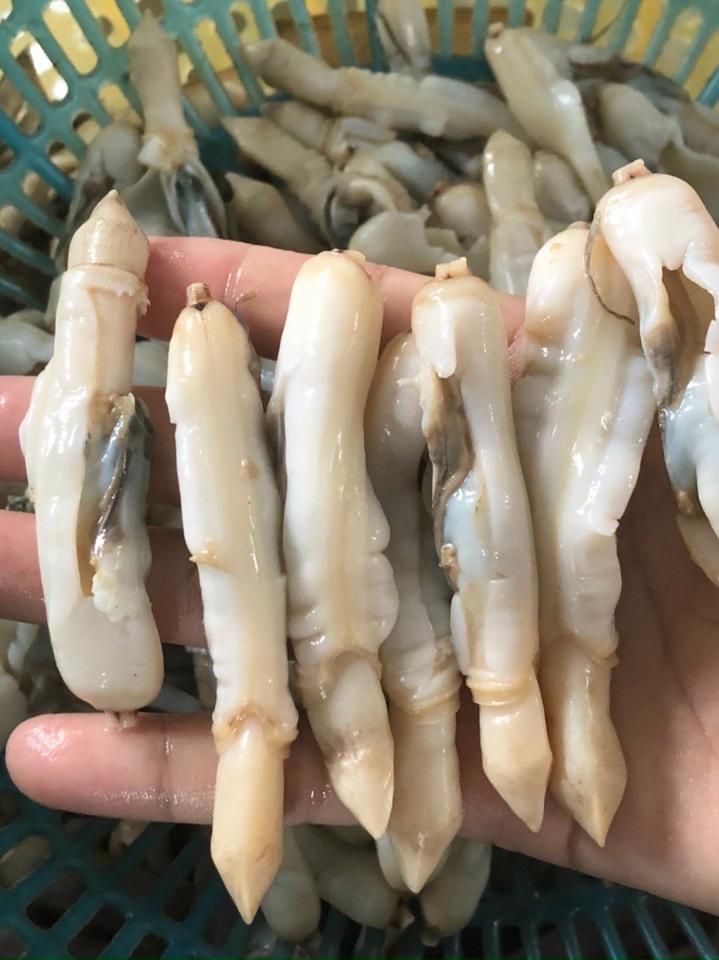 Ruột móng tay-duoc-ban-tai-HẢI SẢN CẨM