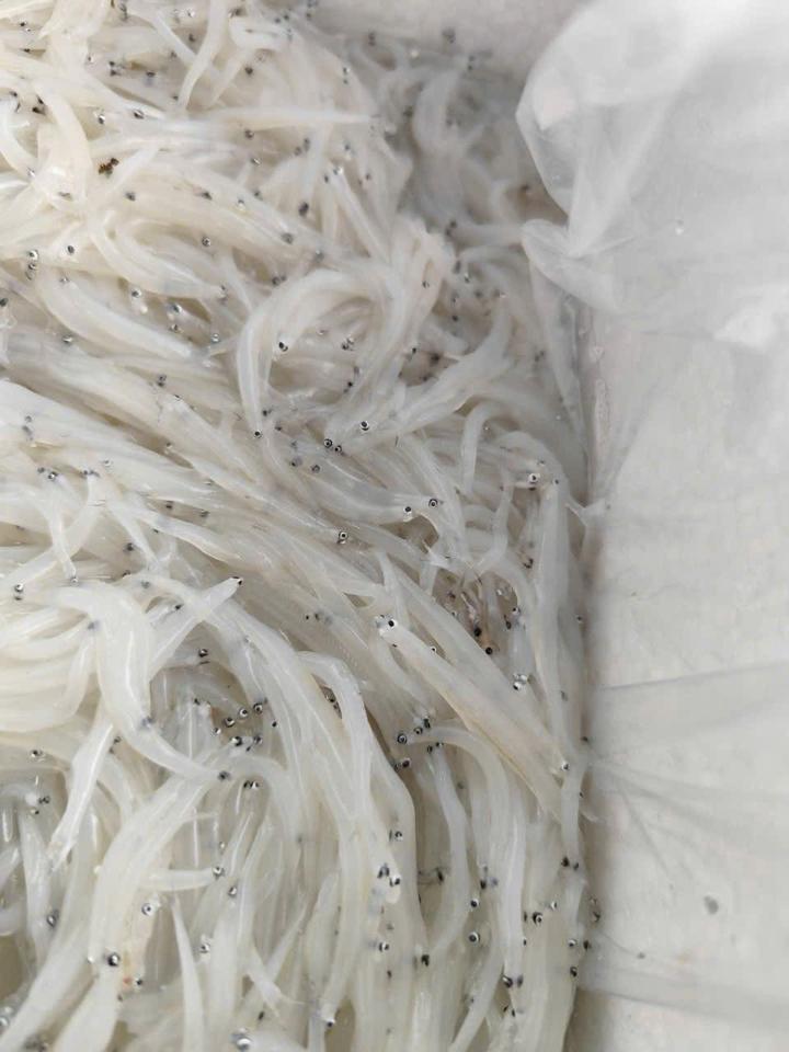 Cá ngần tươi-duoc-ban-tai-HẢI SẢN CẨM